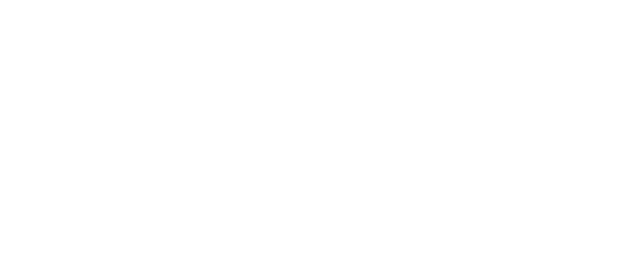 Logo last one copy( white)